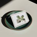 White Botanical Foldcard